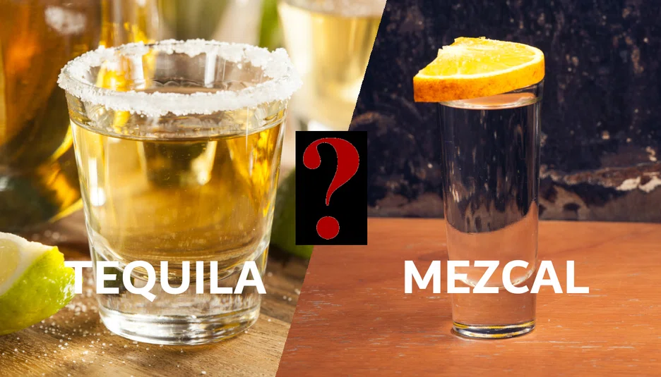 Tequila versus Mezcal: What Is the Difference?